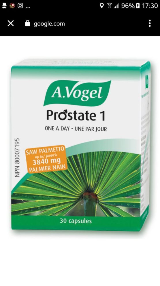 A. Vogel Prostate 1