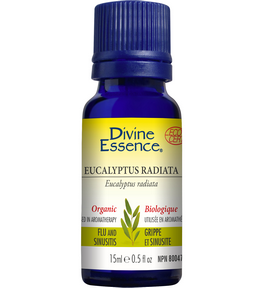 Divine Essence Eucalyptus Radiata (Organic) 15 ml