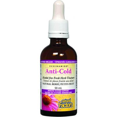 NATURAL FACTORS Echinamide Anti-Cold Tincture ( 50 ml )