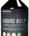 Innotech Nutrition Liquid Ionic Kelp, 530 ml, Acai Flavor