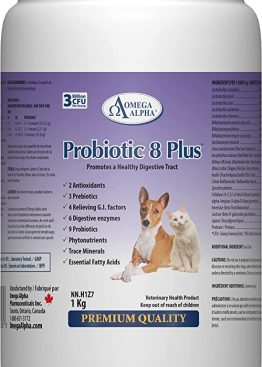 Probiotic 8 Plus - Probiotics, Enzymes, and Fibre for Healthy Digestive Tract, 1000g/1kg
