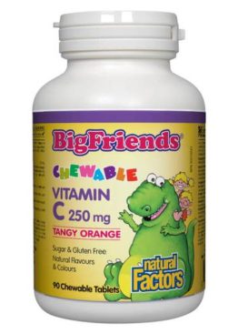 Natural Factors Big Friends Vitamin C 250 mg Tangy Orange 90 Chewable Tablets