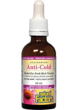 NATURAL FACTORS Echinamide Anti-Cold (Berry - 50ml)