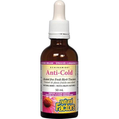 NATURAL FACTORS Echinamide Anti-Cold (Berry - 50ml)