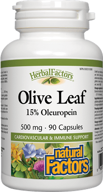 Natural Factors Olive Leaf Extract 500 mg 90 caps