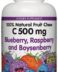 VITAMIN C 500MG BLUEBERRY, RASPBERRY, BOYSENBERRY - 180 CHEWABLE WAFERS - NATURAL FACTORS