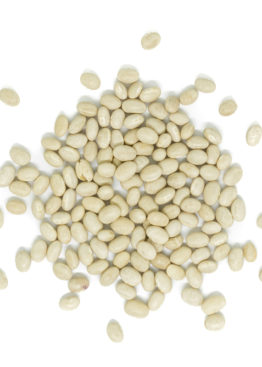 Westpoint organic navy beans