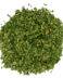 Westpoint PARSLEY FLAKES 100 g