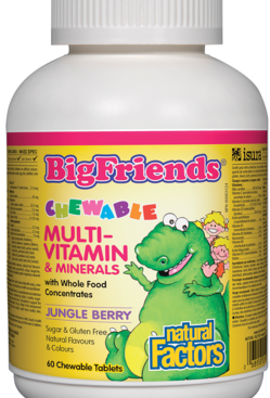 Natural Factors Big Friends Chewable Multi-Vitamin & Minerals Jungle Berry 60 Chewable Tablets 60 Chewable Tablets