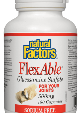 Natural Factors FlexAble Glucosamine Sulfate 500 mg 500 capsules